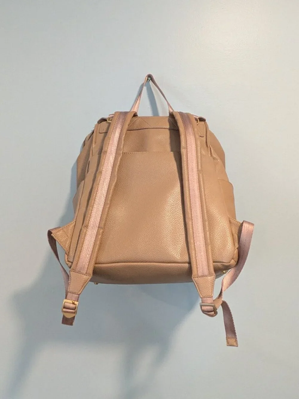 Freshly picked large diaper bag fig